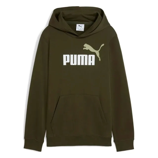 Puma Ess 2 Color Nº1 Logo Hoodie