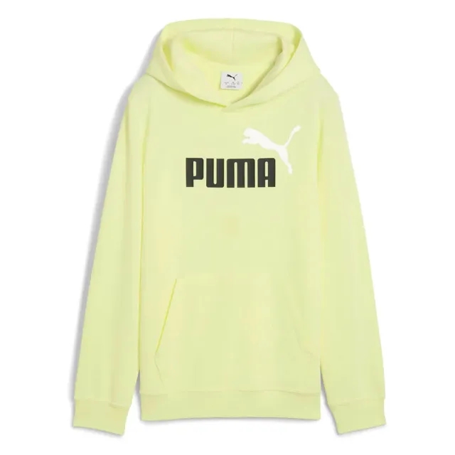 Puma Ess 2 Color Nº1 Logo Hoodie