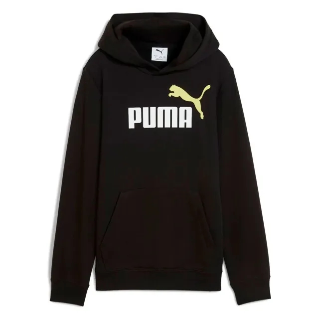 Puma Ess 2 Color Nº1 Logo Hoodie
