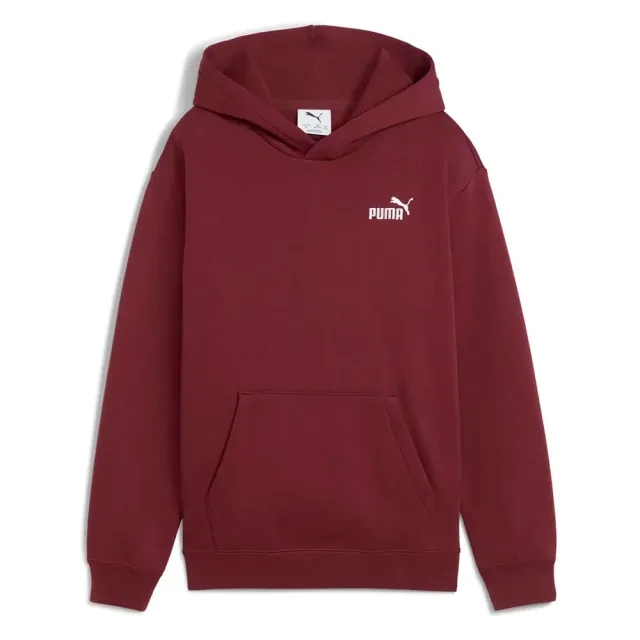 Puma Ess Small Nº 1 Logo Relaxed Hoodie