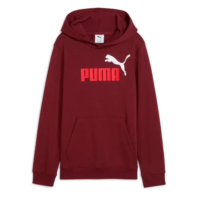 Puma Ess 2 Color Nº1 Logo Hoodie