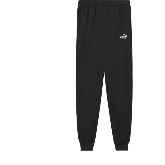 Puma Essentials 2 Color Nº 1 Logo Sweat Pants