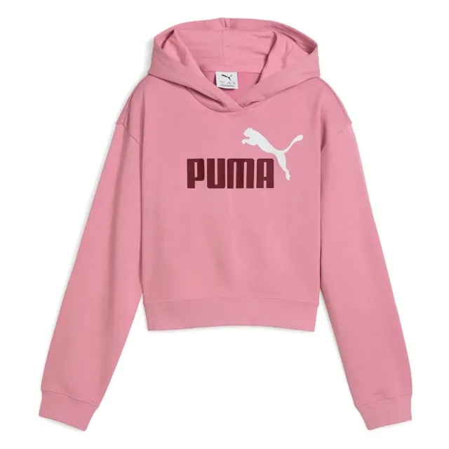Puma Ess 2 Color Nº 1 Logo​ Hoodie