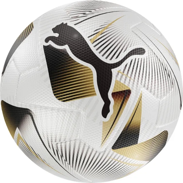 Puma Cumbre Conmebol Libertadores Ms Football Ball