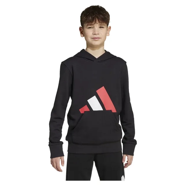 Adidas Essentials Hoodie