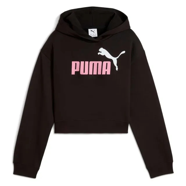 Puma Ess 2 Color Nº 1 Logo​ Fl Hoodie