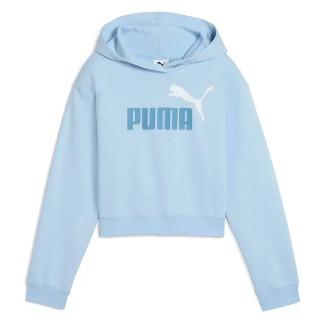 Puma Ess 2 Color Nº 1 Logo​ Fl Hoodie