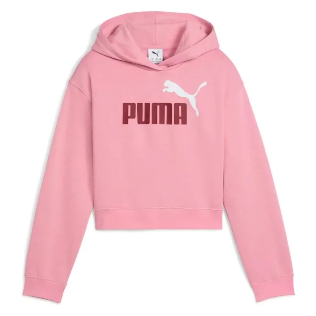 Puma Ess 2 Color Nº 1 Logo​ Fl Hoodie