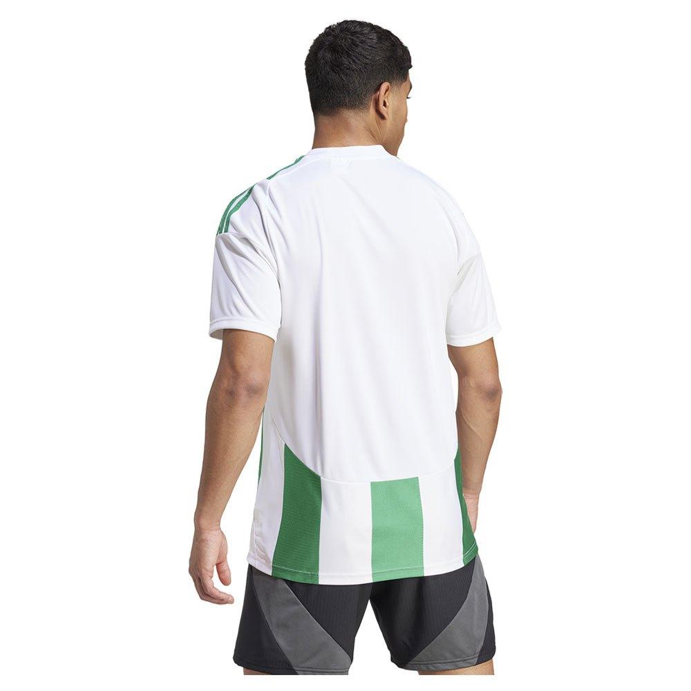 Adidas Playershirt Striped 24 - ['White', 'Green']